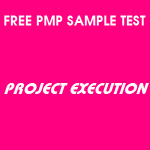 6 Free PMP Sample Test On Project Execution